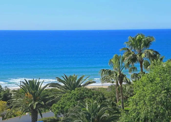 El Carino De La Playa