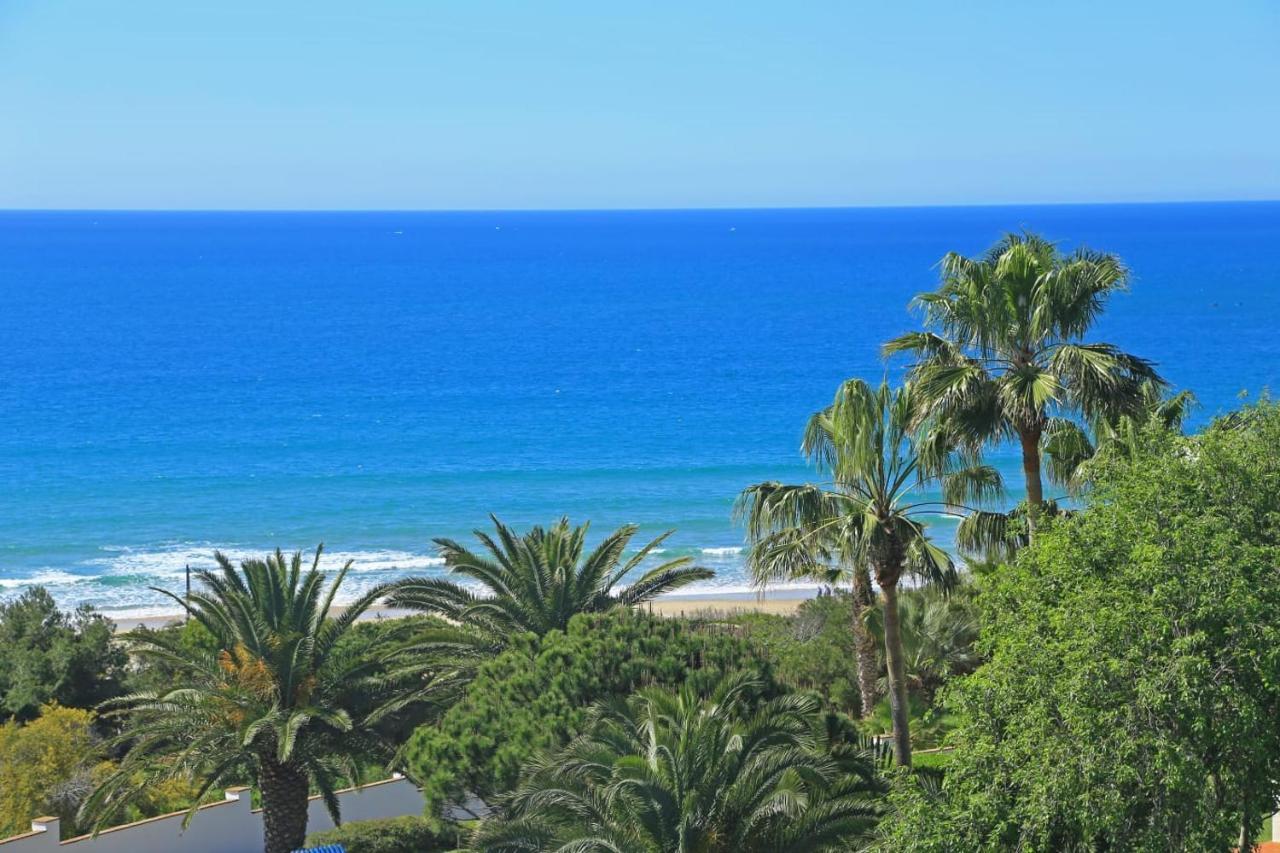El Cariño De La Playa * Conil De La Frontera